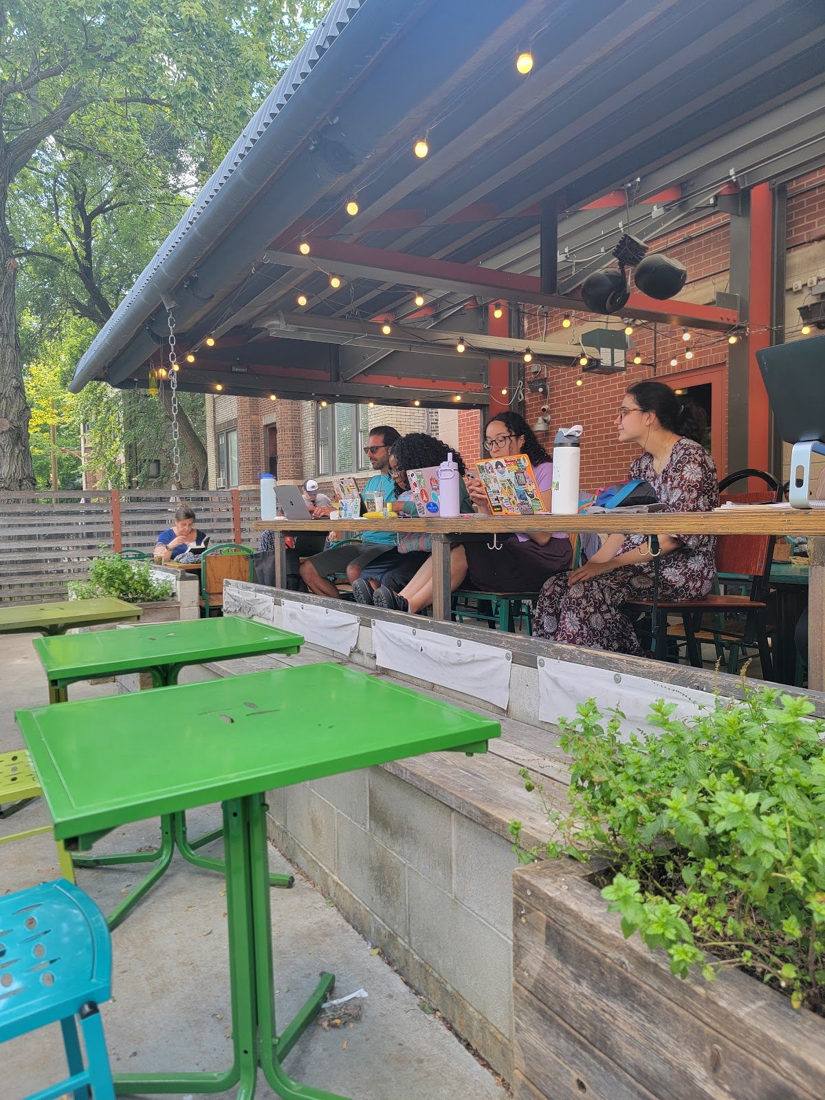 Colectivo Coffee Lincoln Park specialty coffee shop in Chicago - photo 6