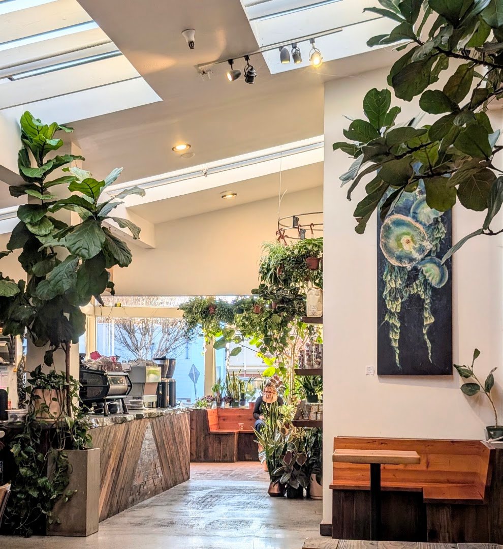 Interior of 11th Hour Coffee, specialty coffee shop in Santa Cruz