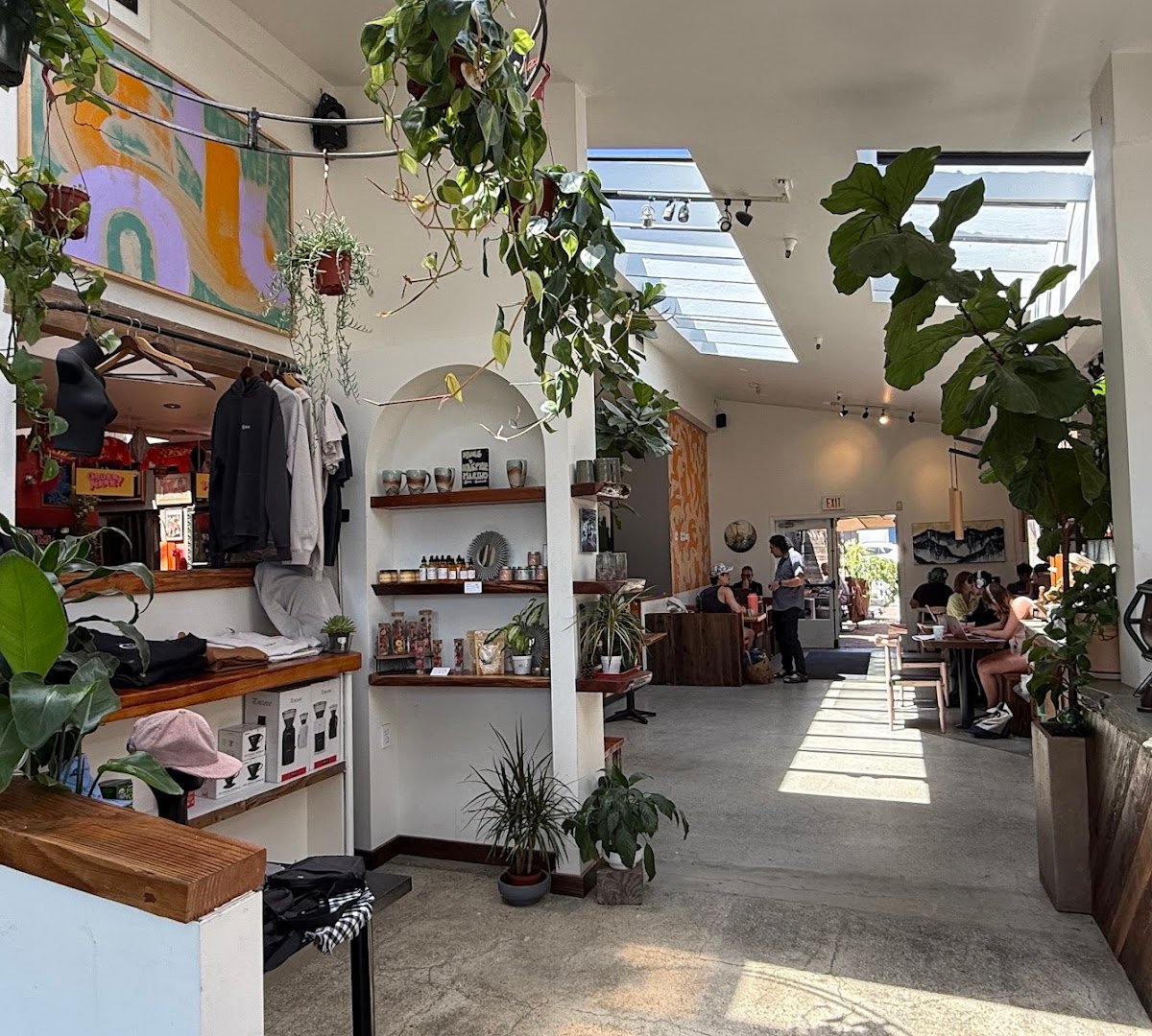 Interior of 11th Hour Coffee, specialty coffee shop in Santa Cruz