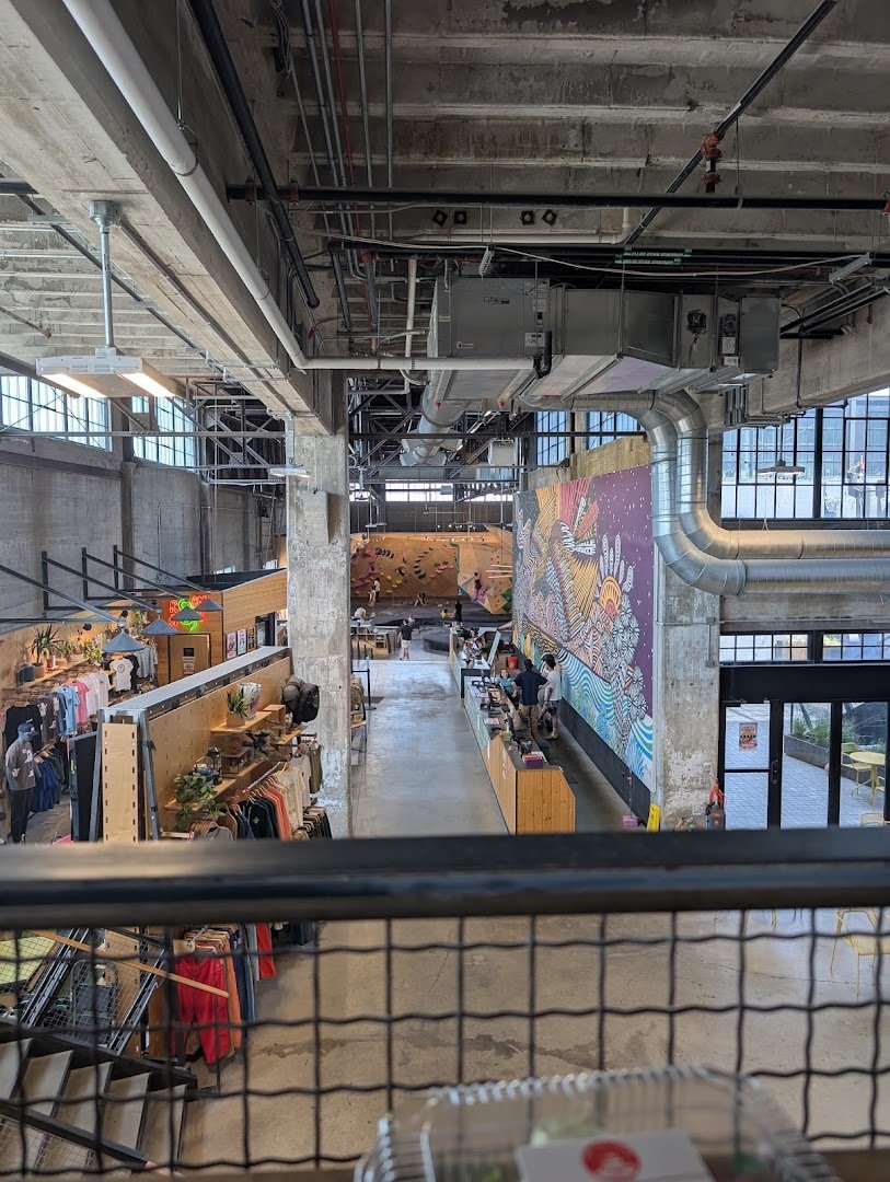 Interior of Top Out Cafe, specialty coffee shop in Indianapolis