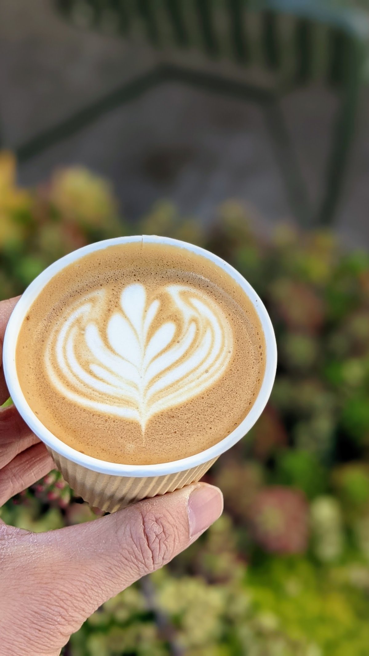 Kumquat Coffee HLP specialty coffee shop in Los Angeles - photo 17