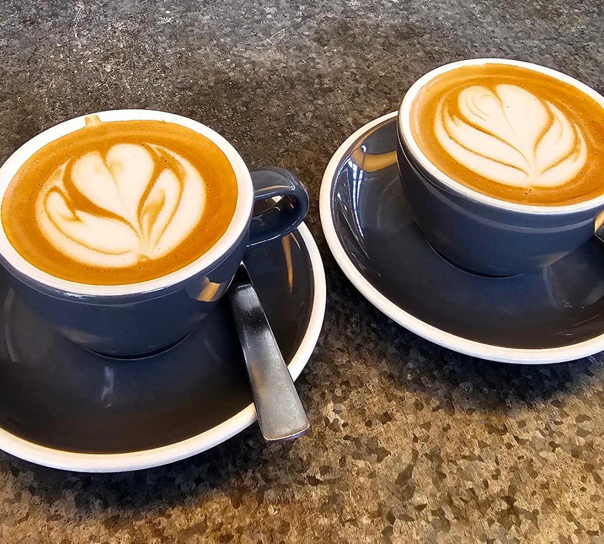 Coffee at Ozone Coffee, specialty coffee shop in Auckland