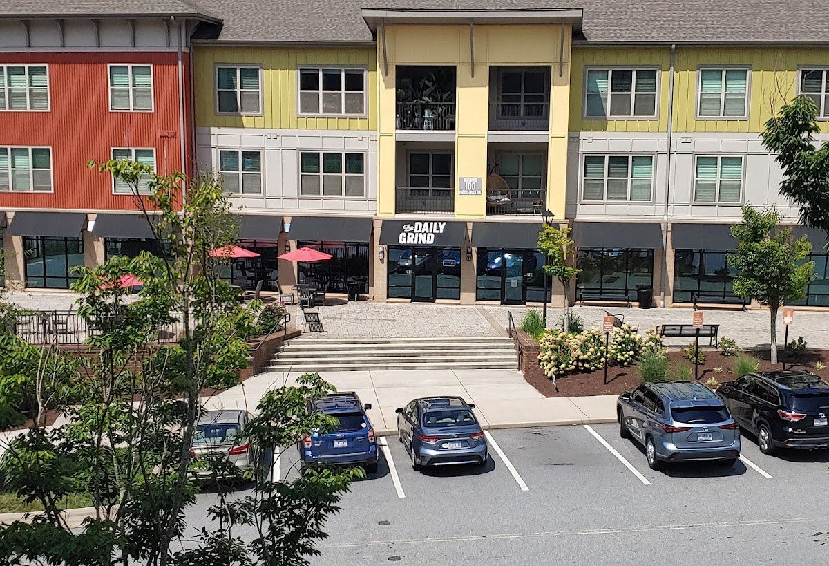 The Daily Grind Biltmore Village specialty coffee shop in Asheville - photo 4