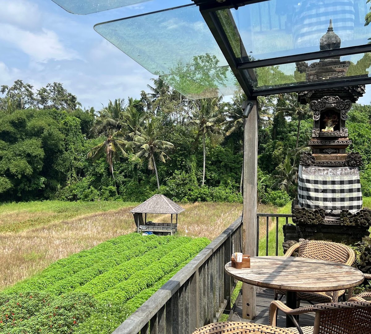 RÜSTERS specialty coffee shop in Bali - photo 4