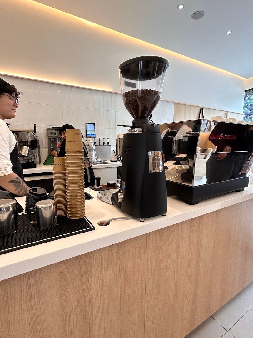 Interior of The Coffee Reforma, specialty coffee shop in Mexico City