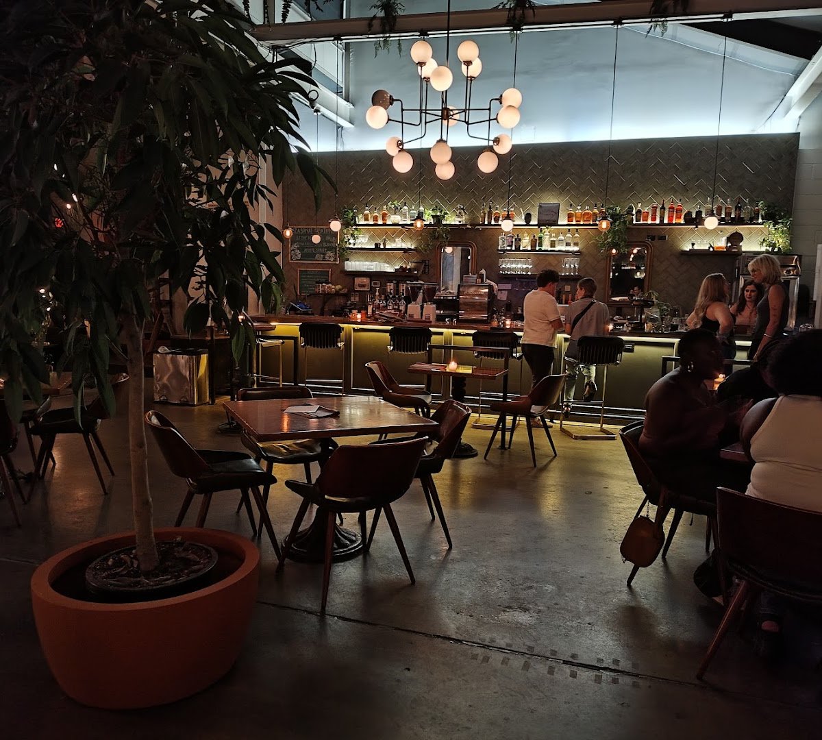Interior of Parlor Public House, specialty coffee shop in Indianapolis