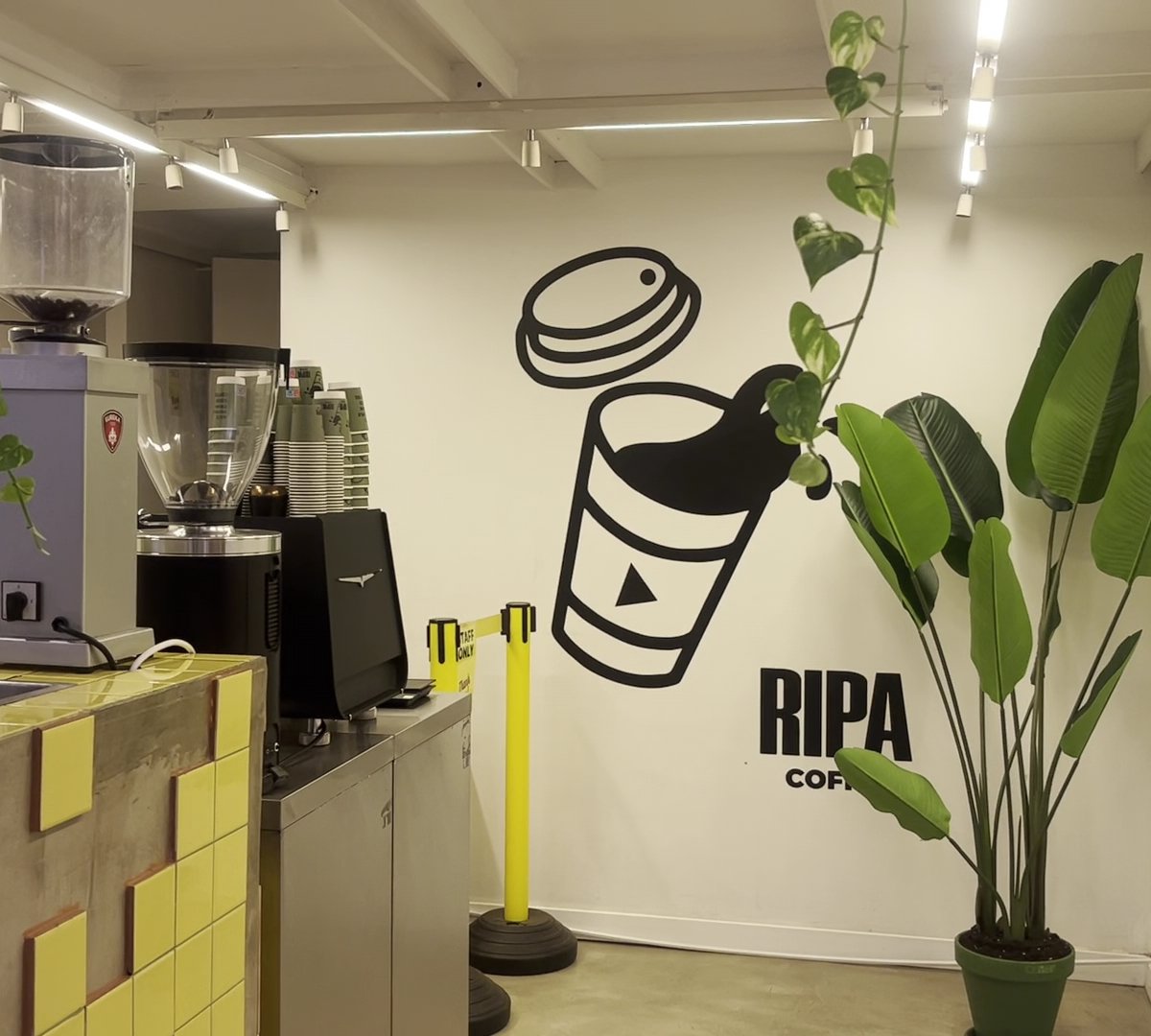 Ripa Coffee - Eixample specialty coffee shop in Barcelona - photo 5