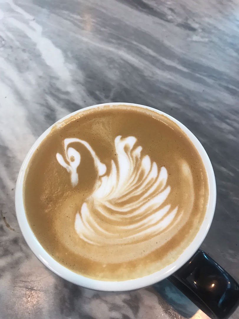 ROAST Speciality Coffee, Dubai Science Park specialty coffee shop in Dubai - photo 3