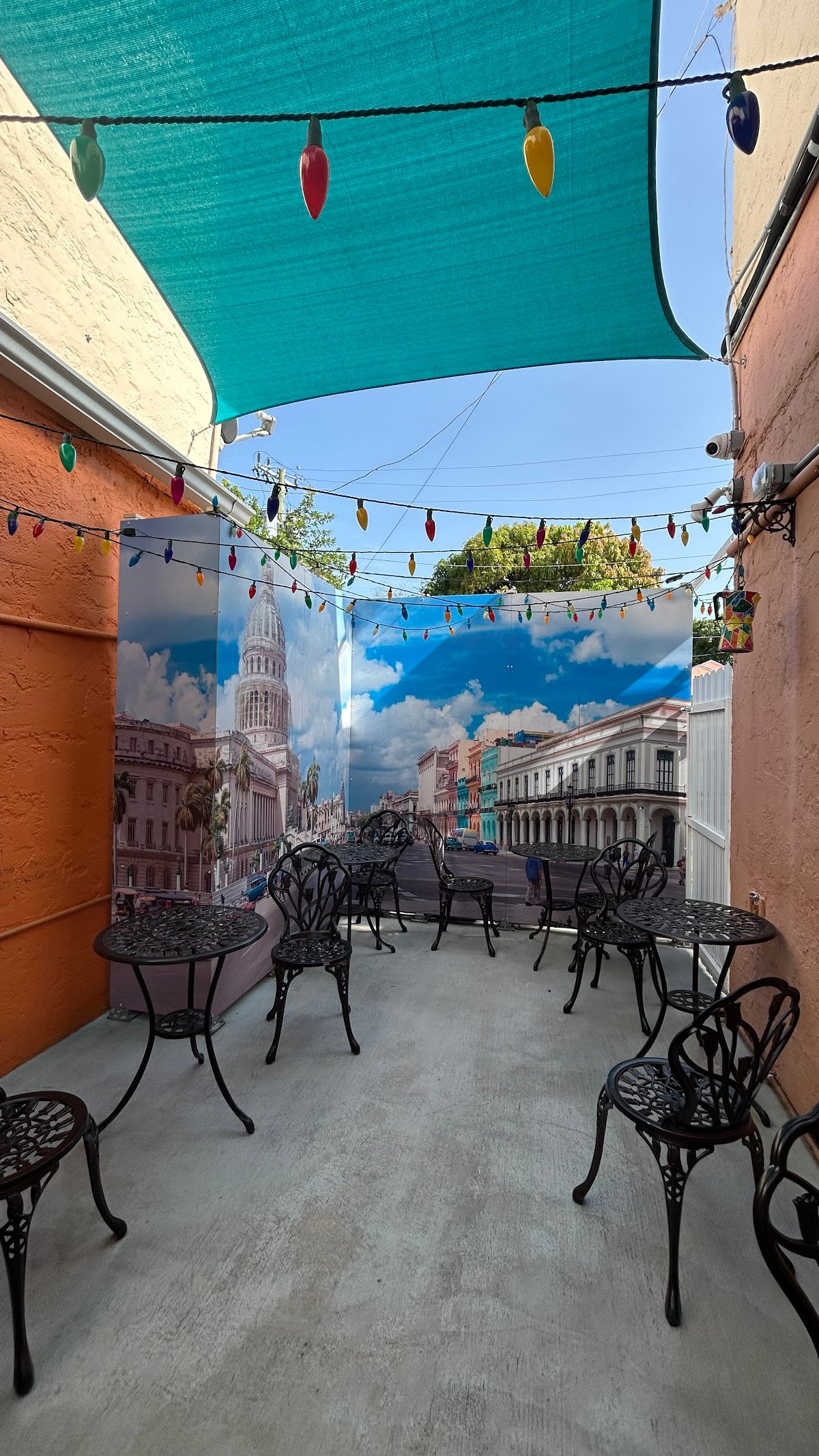 La Colada Gourmet specialty coffee shop in Miami - photo 7