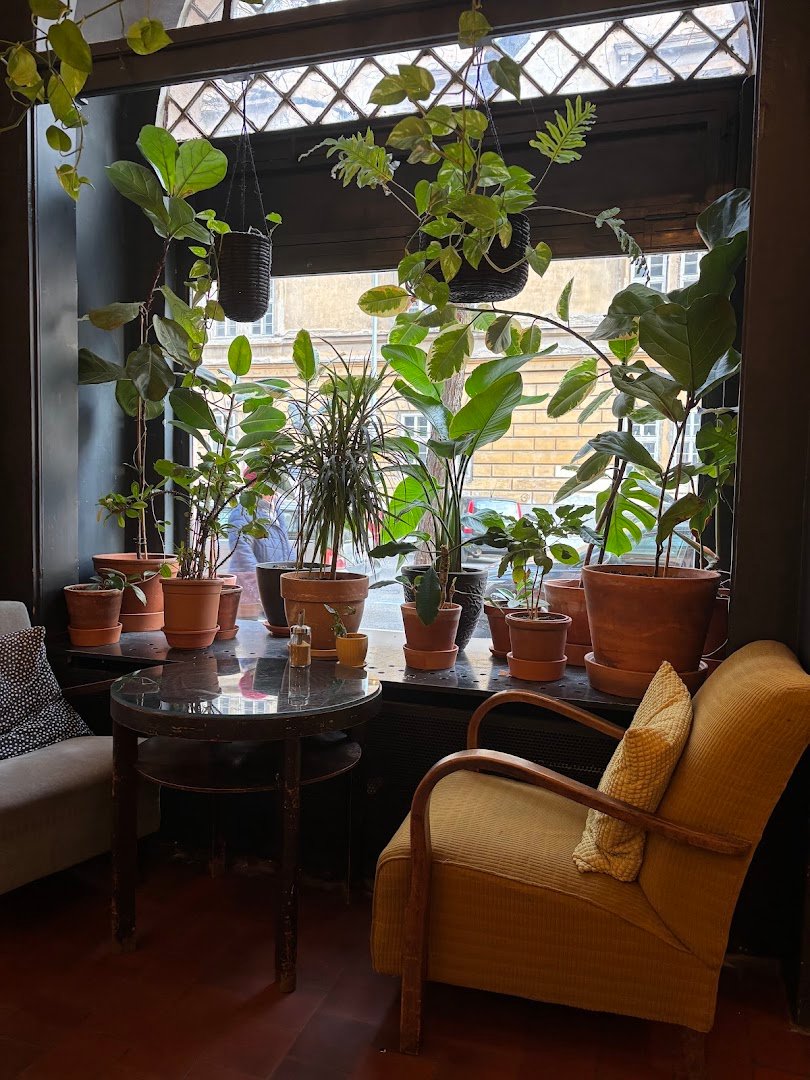 Interior of Cafe Parlor, specialty coffee shop in Prague