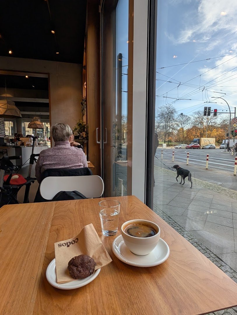 CODOS Berlin specialty coffee shop in Berlin - photo 9