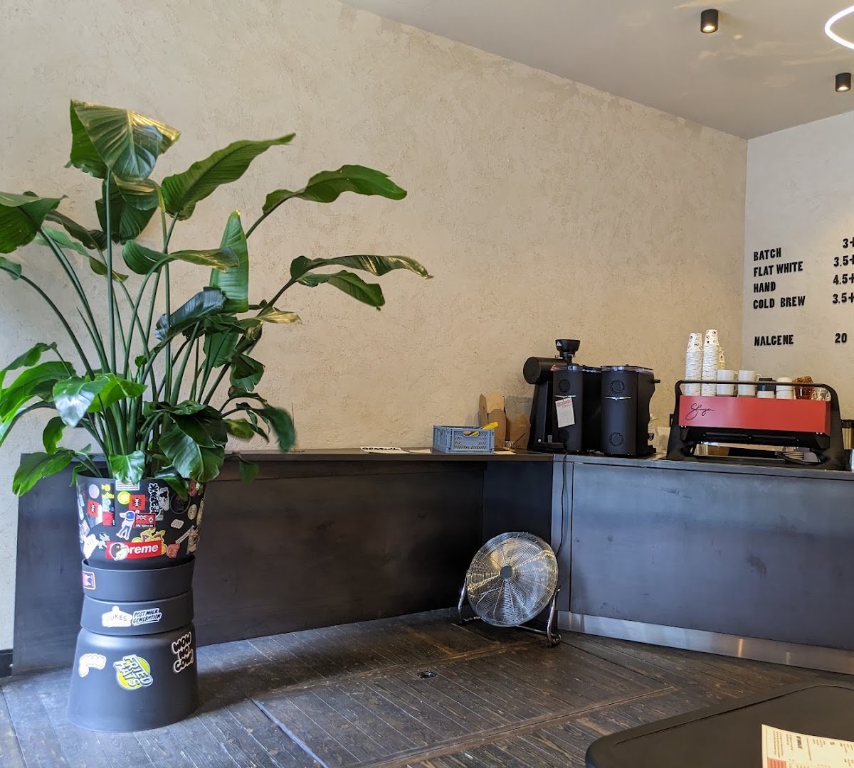 Interior of BEATNIK, specialty coffee shop in Edinburgh