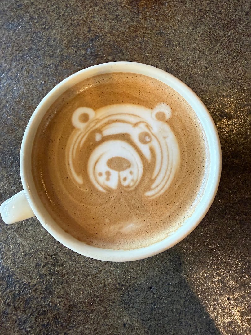 Caffe Luce specialty coffee shop in Tucson - photo 3
