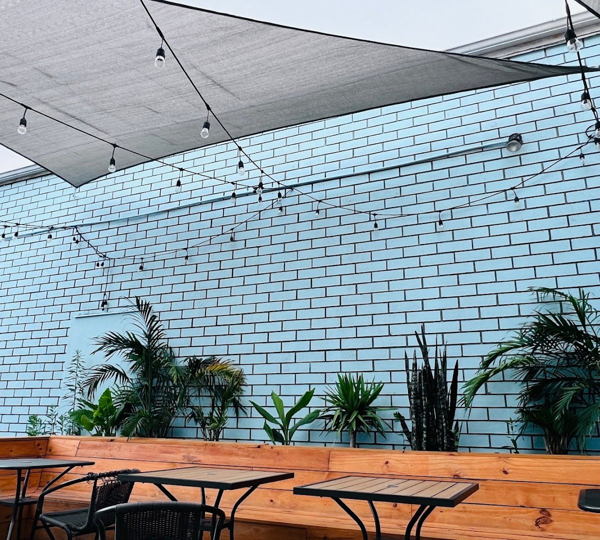 Highfalutin Coffee Roasters specialty coffee shop in Charleston - photo 12