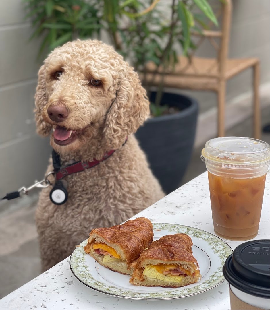 Highfalutin Coffee Roasters specialty coffee shop in Charleston - photo 13