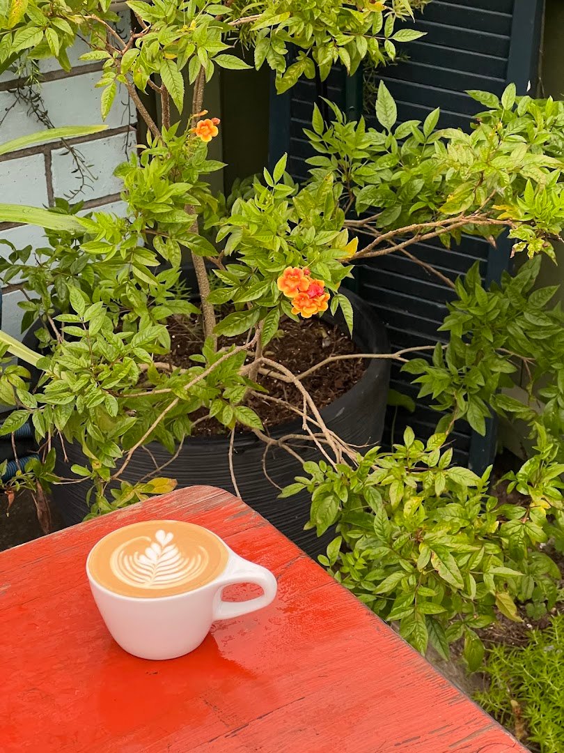 Highfalutin Coffee Roasters specialty coffee shop in Charleston - photo 14