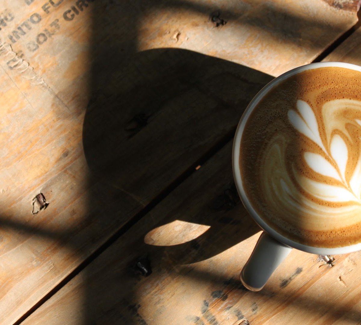 Yellow Brick Coffee specialty coffee shop in Tucson - photo 3