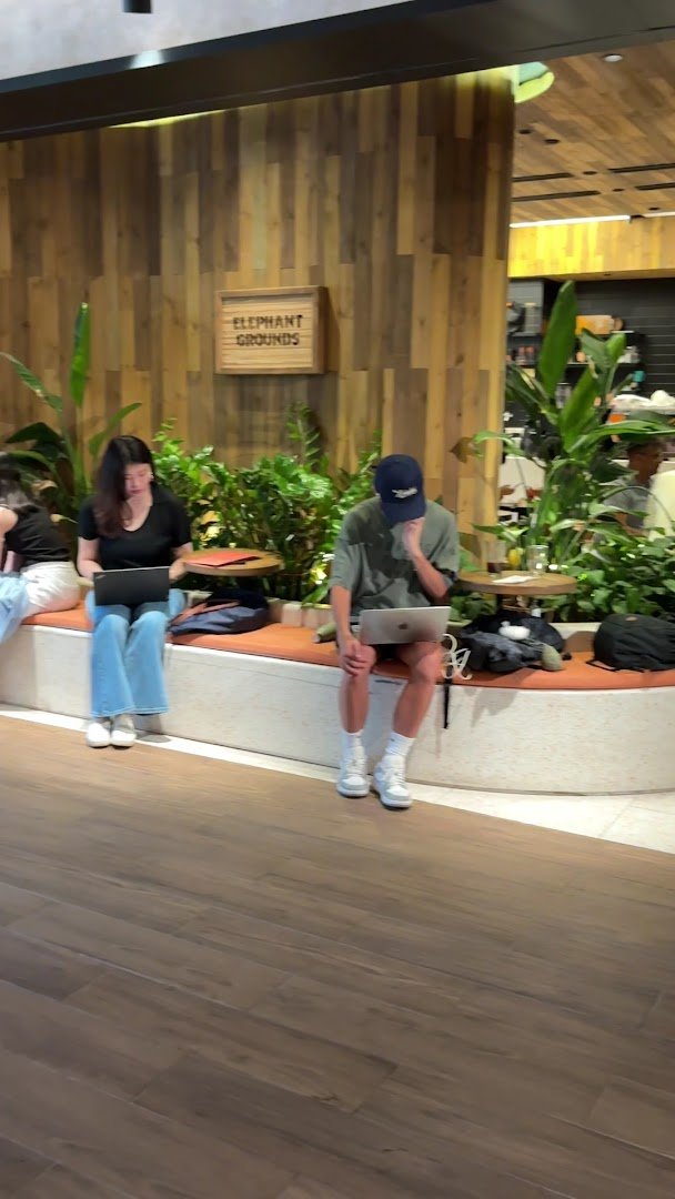 Interior of Elephant Grounds, specialty coffee shop in Hong Kong
