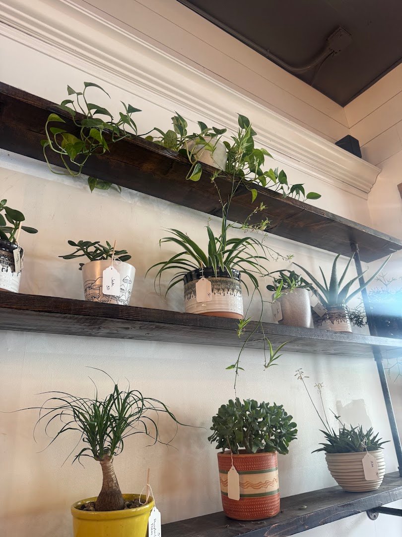 Interior of Heartwood Coffee Roasters, specialty coffee shop in Cleveland