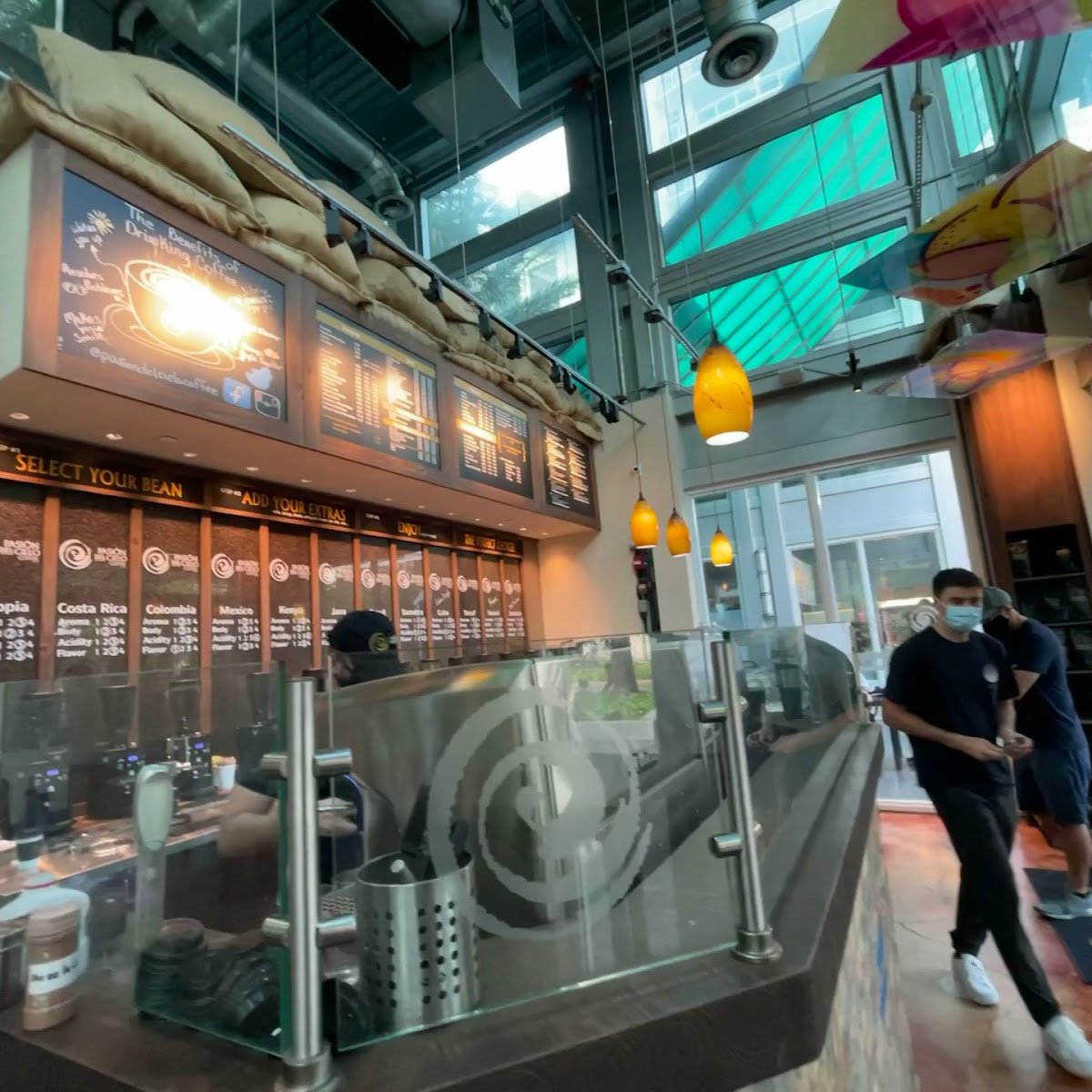 Pasion del Cielo Coffee specialty coffee shop in Miami - photo 14