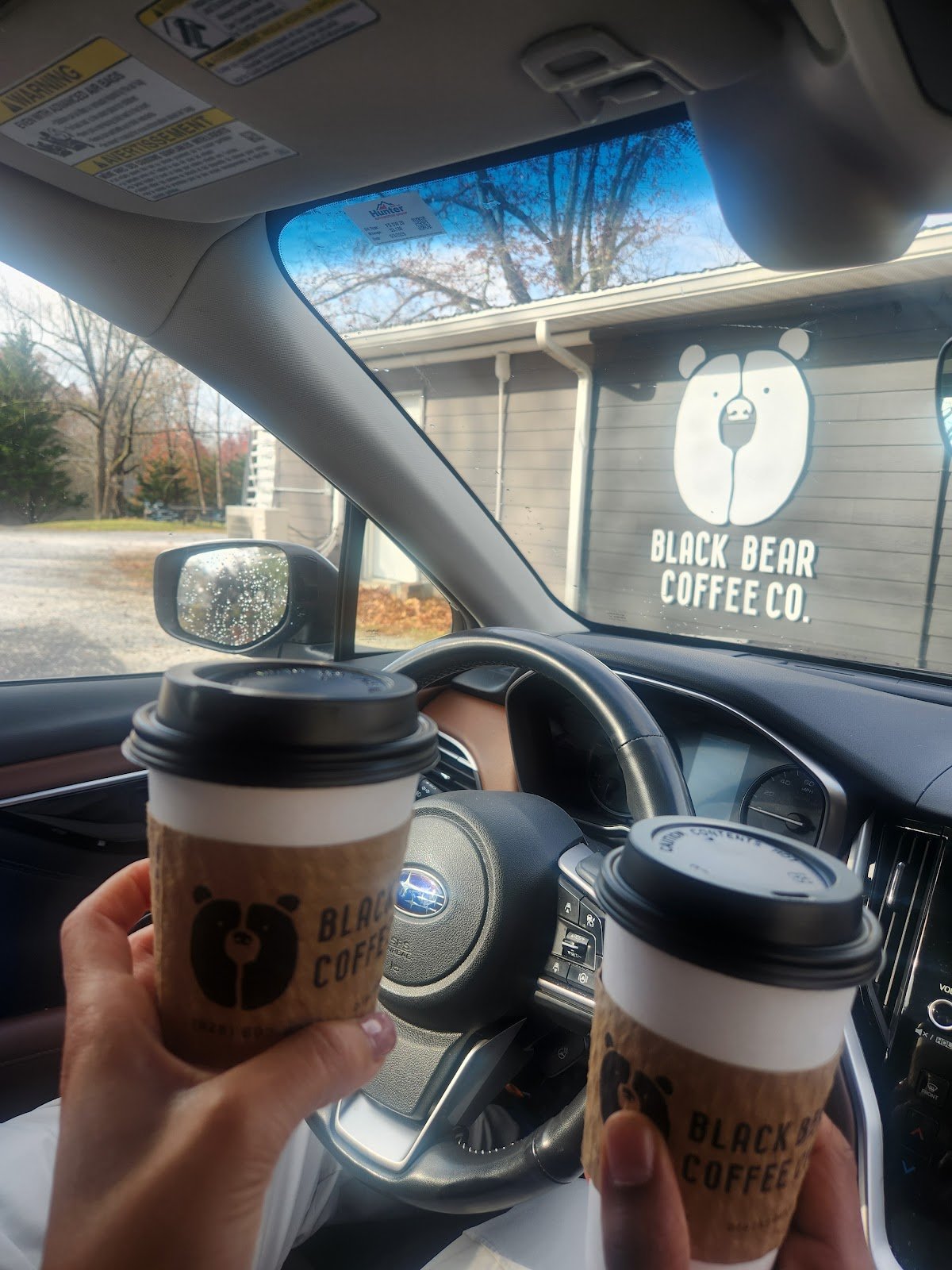 Black Bear Coffee Co. specialty coffee shop in Asheville - photo 2