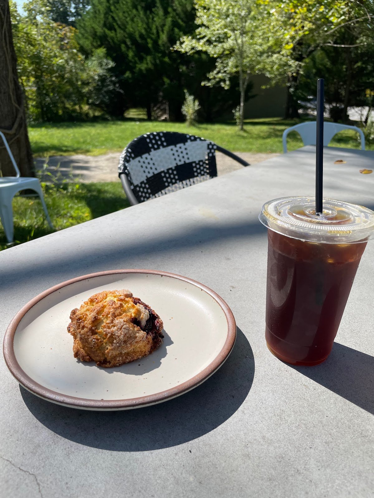 Black Bear Coffee Co. specialty coffee shop in Asheville - photo 4