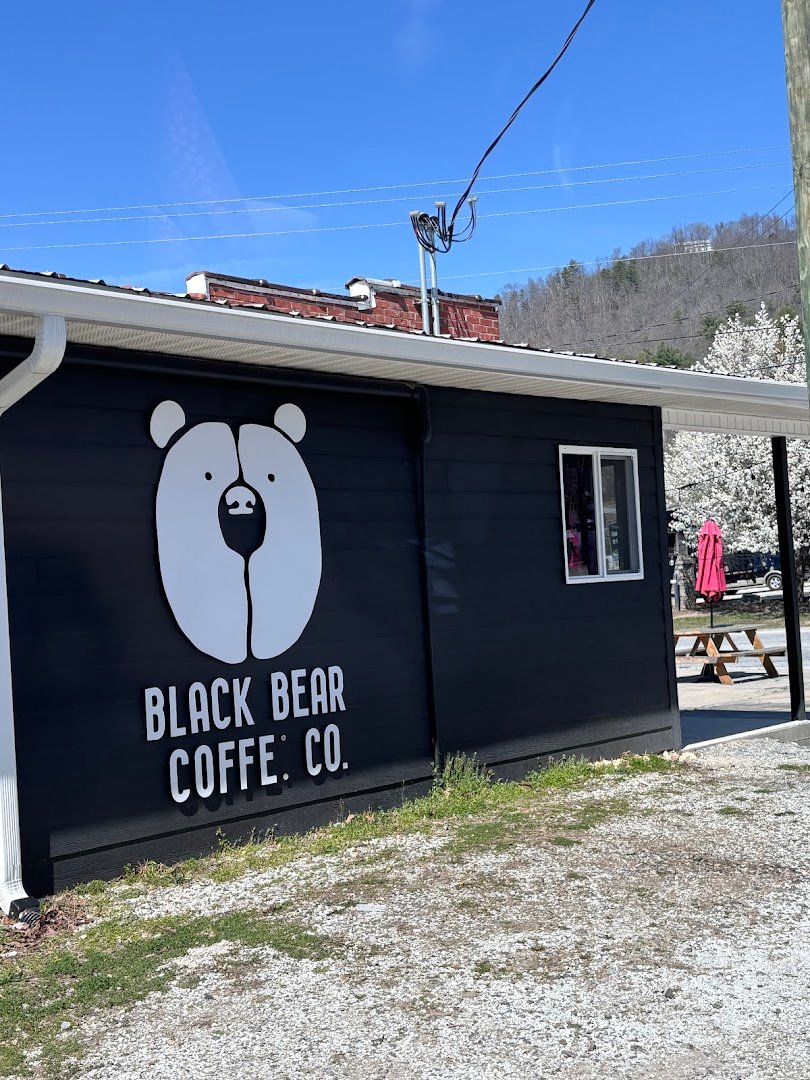 Black Bear Coffee Co. specialty coffee shop in Asheville - photo 7