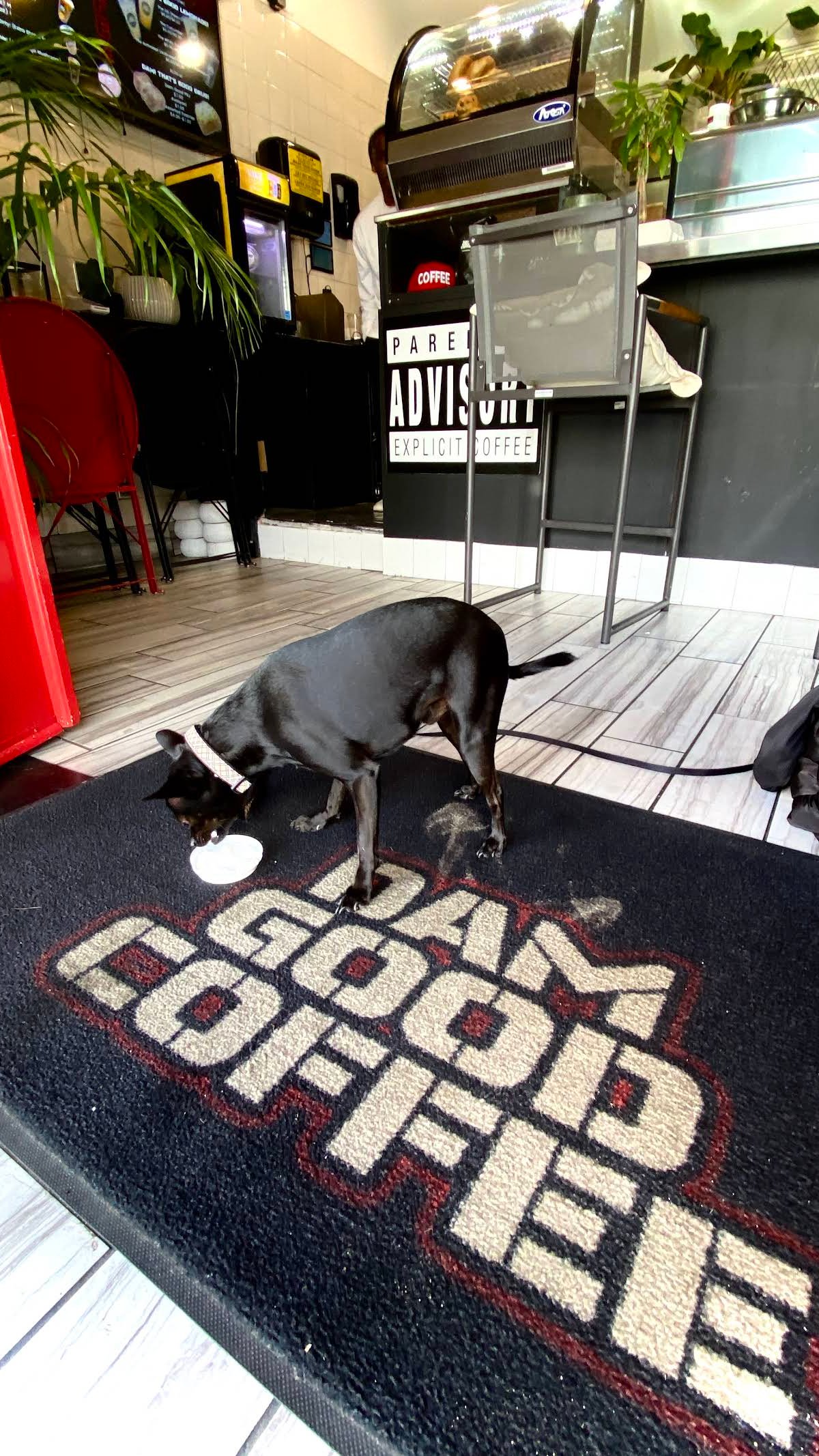 Dam Good Coffee LLC specialty coffee shop in Los Angeles - photo 8