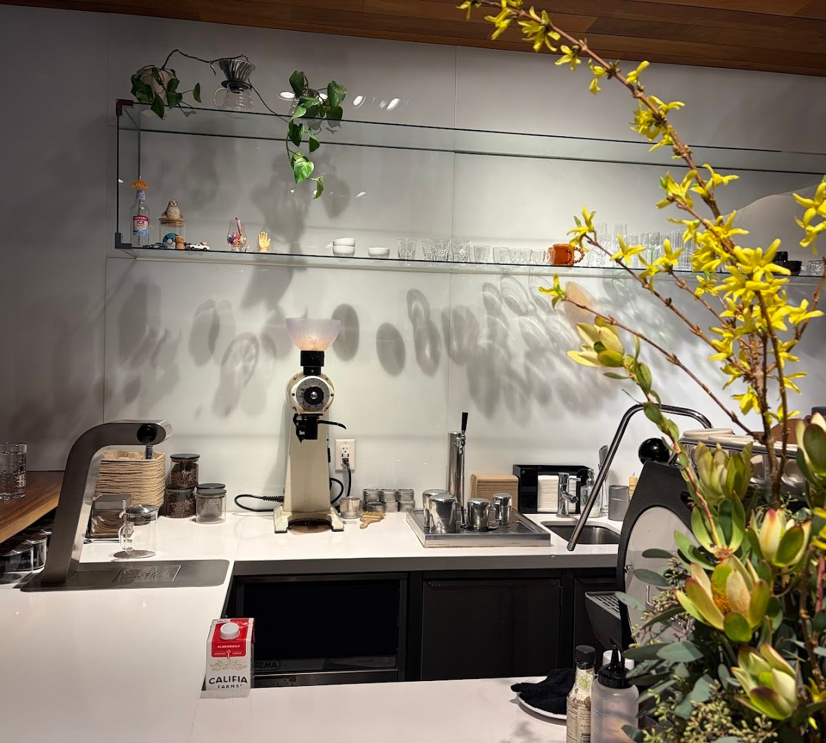 Little Owl Coffee specialty coffee shop in Denver - photo 12