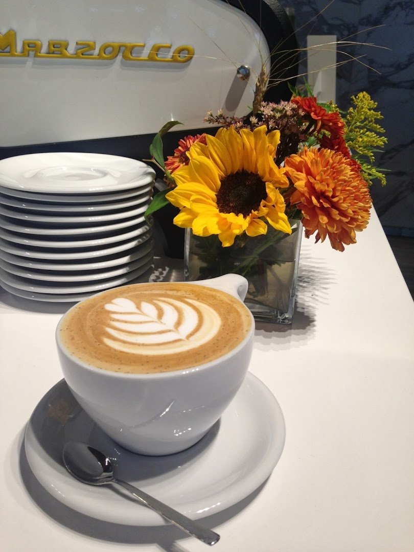 Little Owl Coffee specialty coffee shop in Denver - photo 3