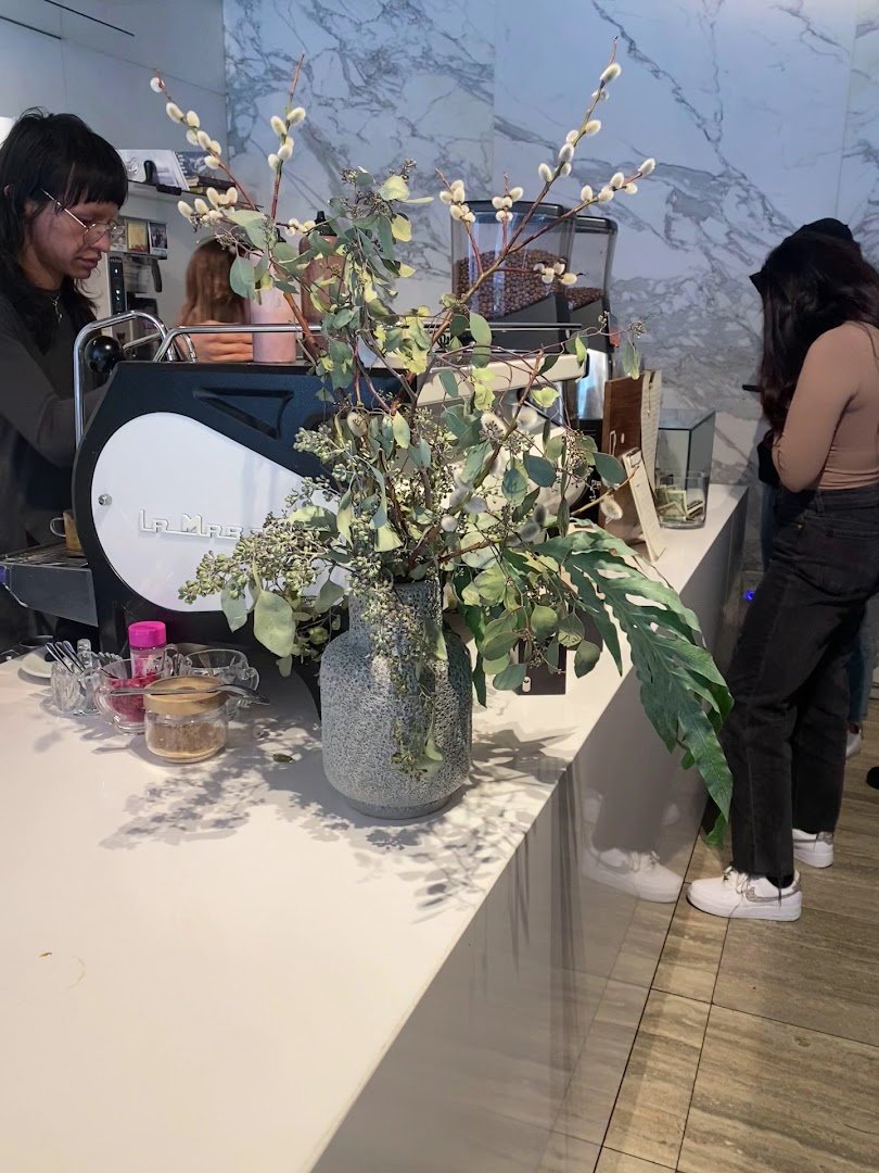 Little Owl Coffee specialty coffee shop in Denver - photo 6