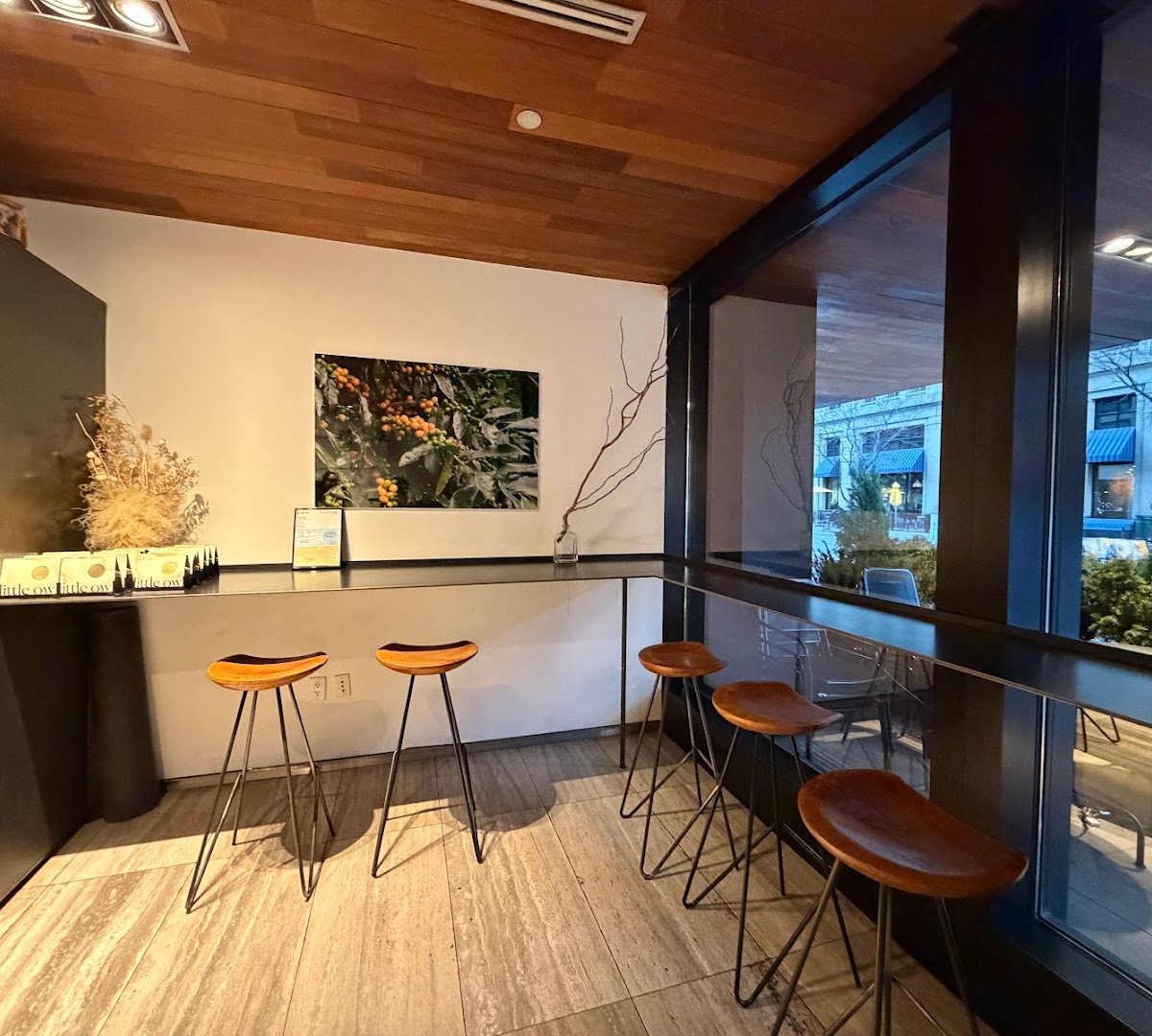 Little Owl Coffee specialty coffee shop in Denver - photo 10