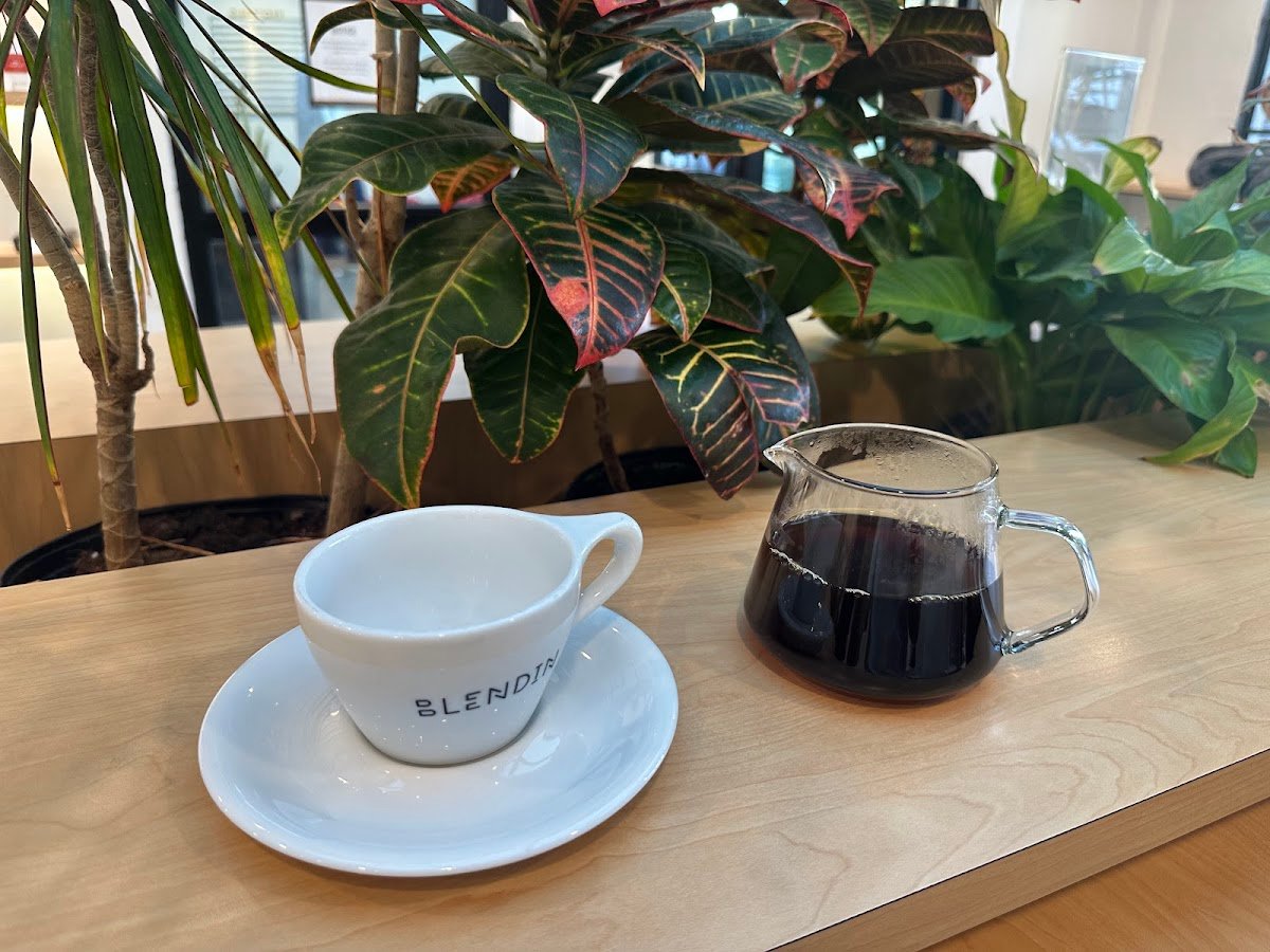 BlendIn Coffee Club specialty coffee shop in Houston - photo 7