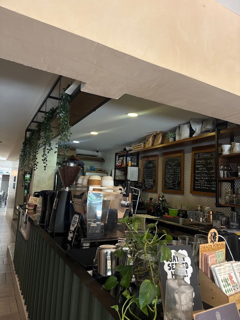 Interior of Rutas Café Ciclista, specialty coffee shop in Mexico City