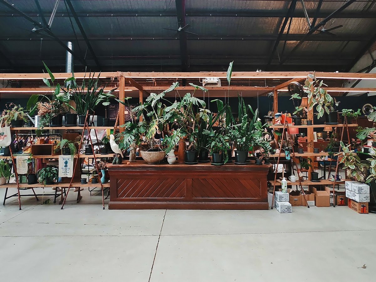 Interior of Le Bajo Milkbar, specialty coffee shop in Melbourne