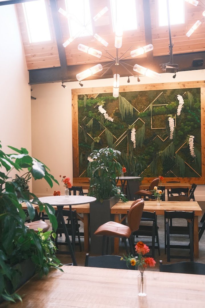 Interior of Winter Swan Coffee, specialty coffee shop in Rochester