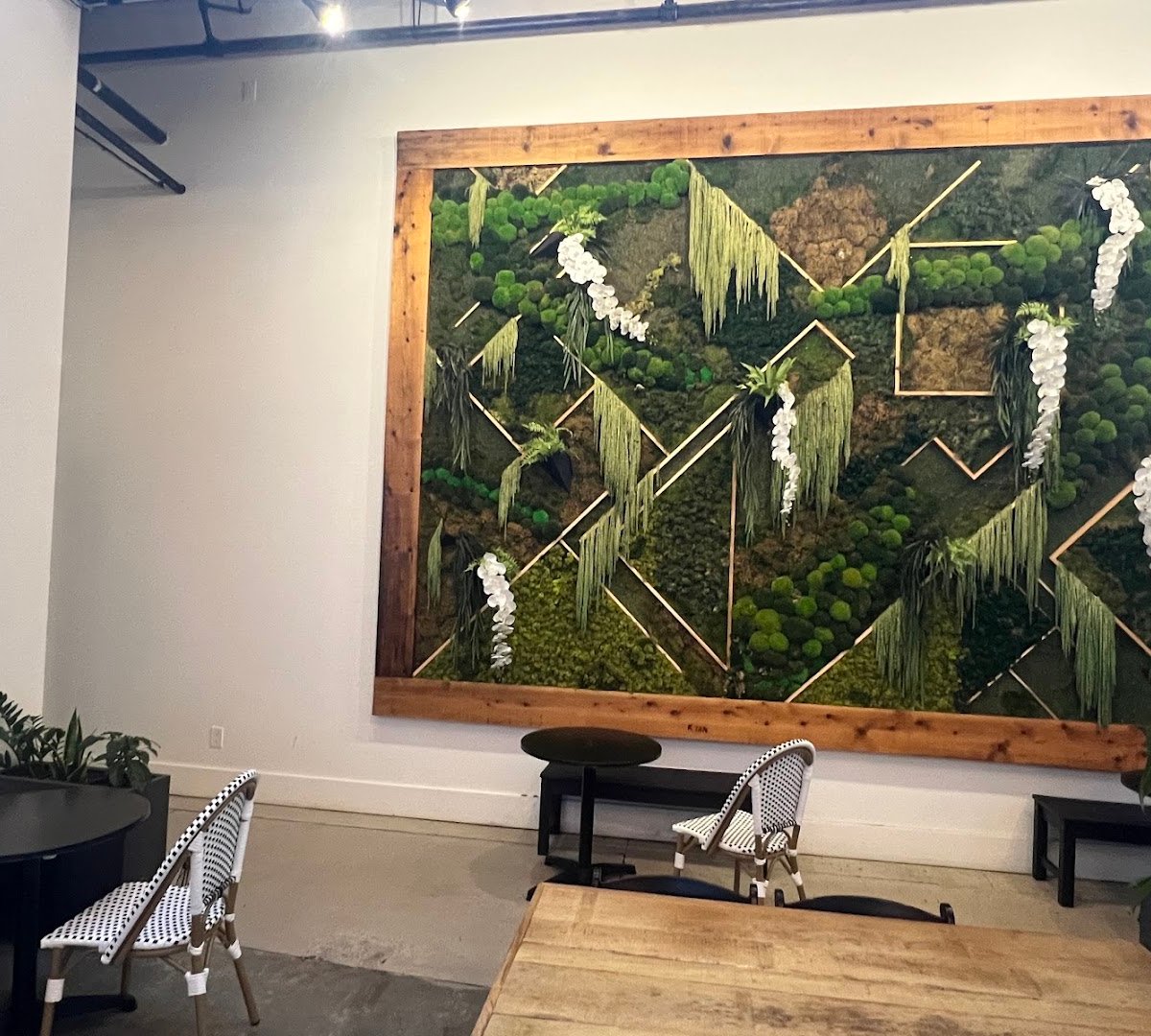 Interior of Winter Swan Coffee, specialty coffee shop in Rochester