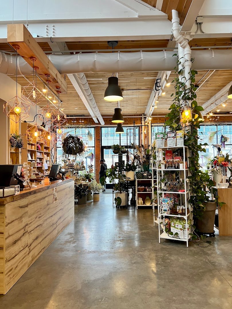 Interior of Winter Swan Coffee, specialty coffee shop in Rochester