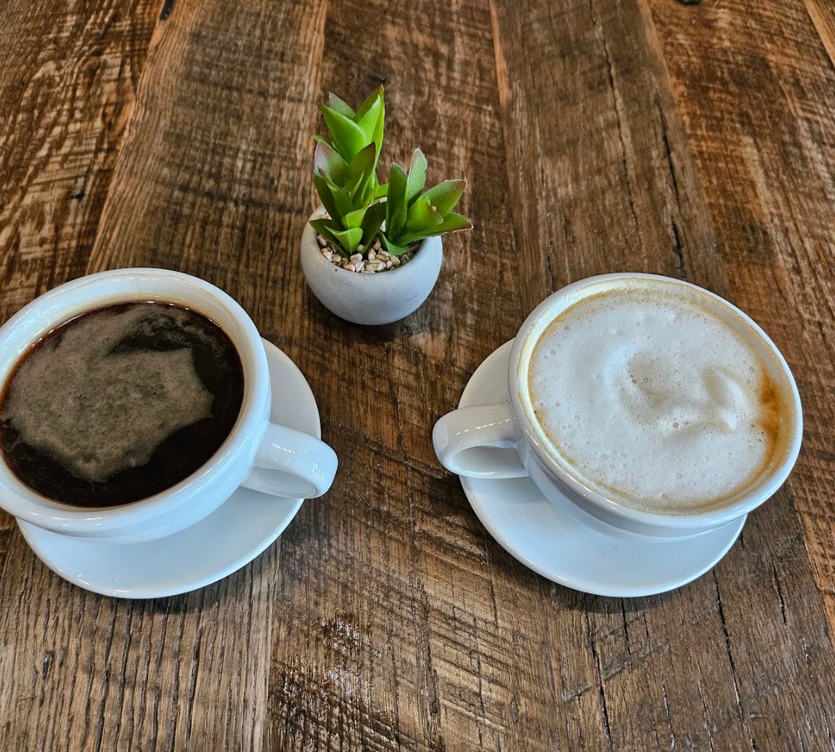 Coffee at Foxtail Coffee - ICOT Center Clearwater, specialty coffee shop in Tampa-St. Petersburg