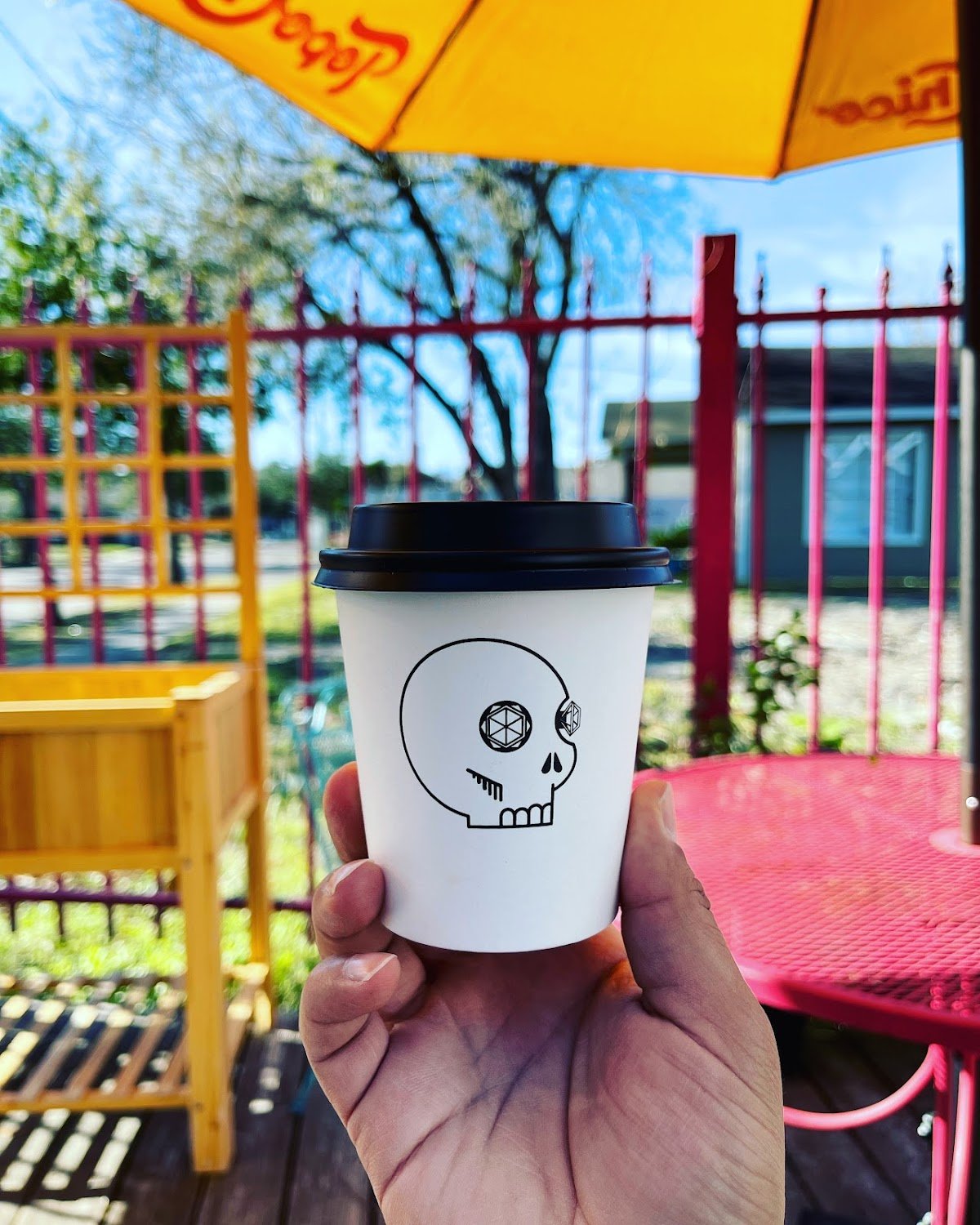 XELA Coffee Roasters specialty coffee shop in Houston - photo 4