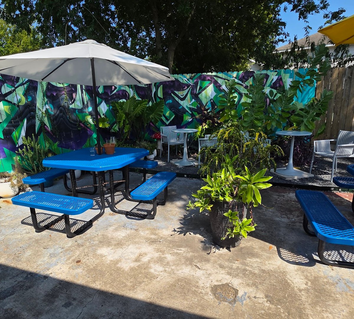 XELA Coffee Roasters specialty coffee shop in Houston - photo 8