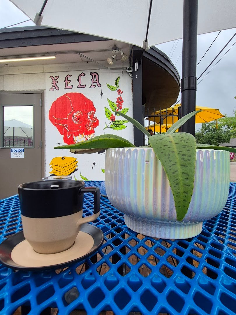 XELA Coffee Roasters specialty coffee shop in Houston - photo 9