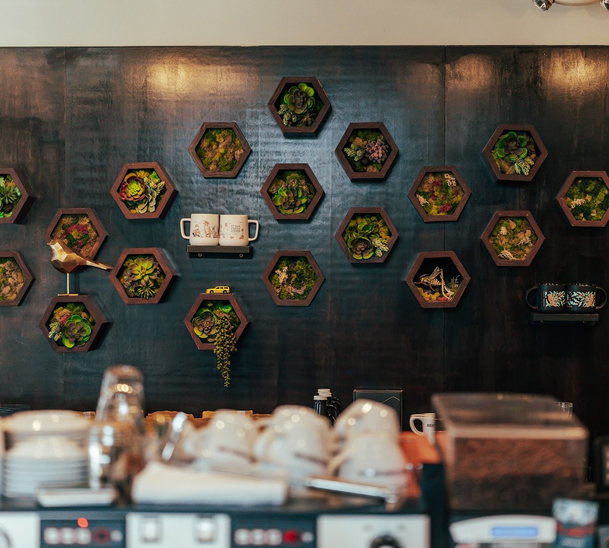 Interior of Stone Creek Coffee - Shorewood, specialty coffee shop in Milwaukee