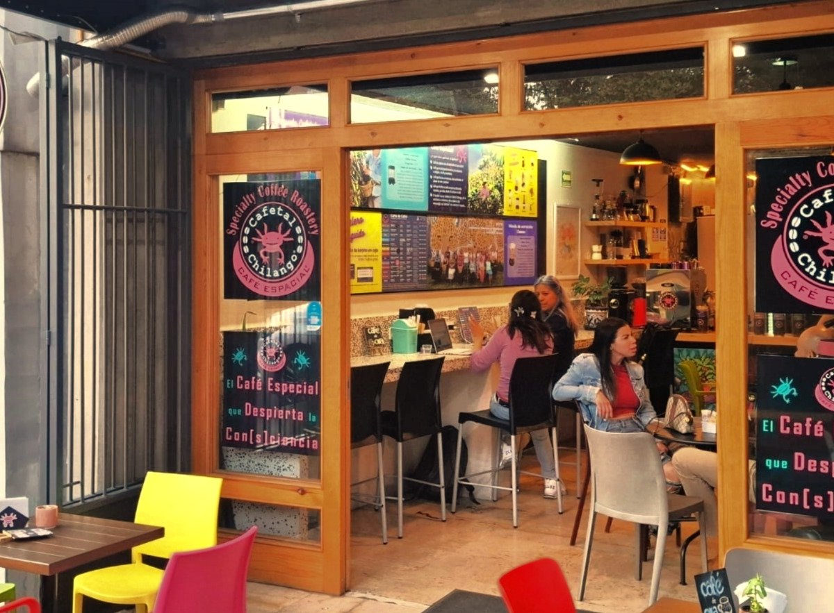 Interior of Cafetal Chilango MAQ, specialty coffee shop in Mexico City