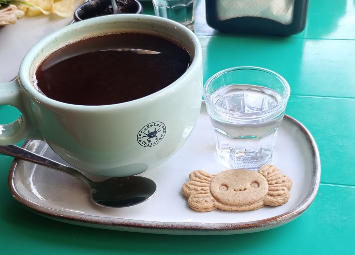 Coffee at Cafetal Chilango MAQ, specialty coffee shop in Mexico City