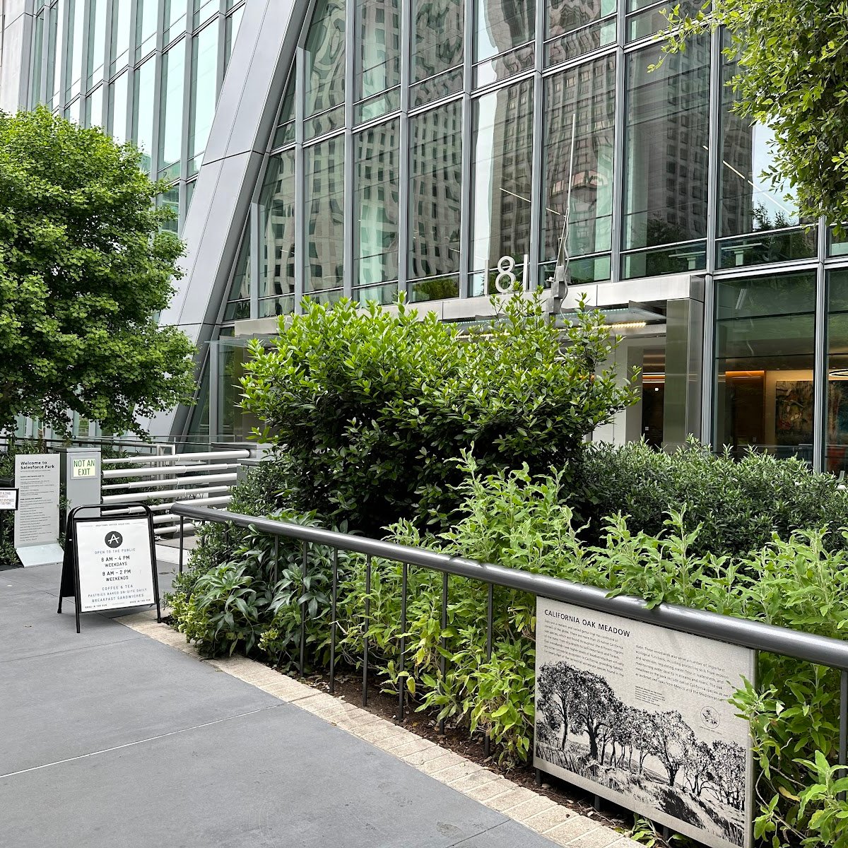 Andytown Coffee Roasters specialty coffee shop in San Francisco - photo 14