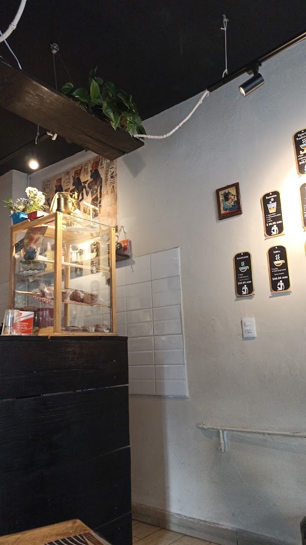 Interior of ALIXIR Cafe, specialty coffee shop in Mexico City