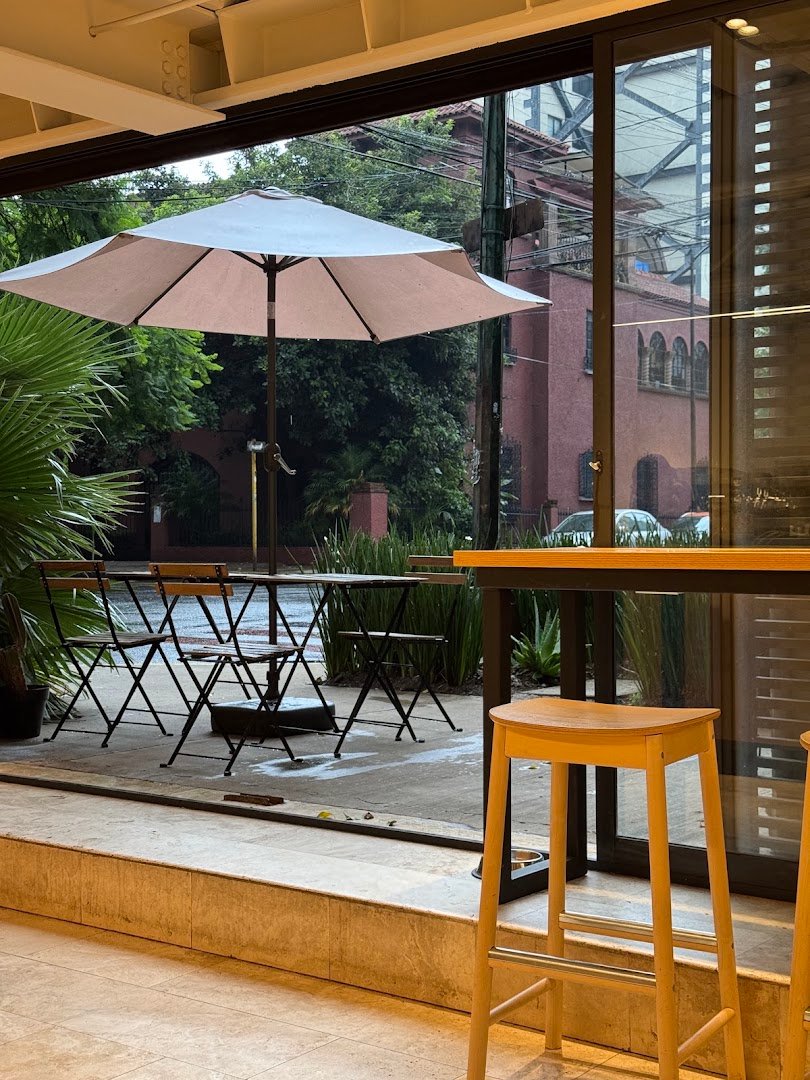 Interior of Congreso Café, specialty coffee shop in Mexico City