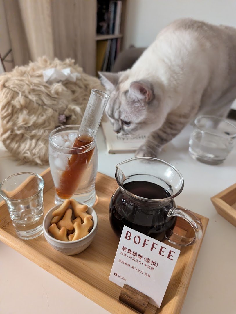 Boffee (上海水煎包旁的鐵門走進來) specialty coffee shop in Taipei - photo 6