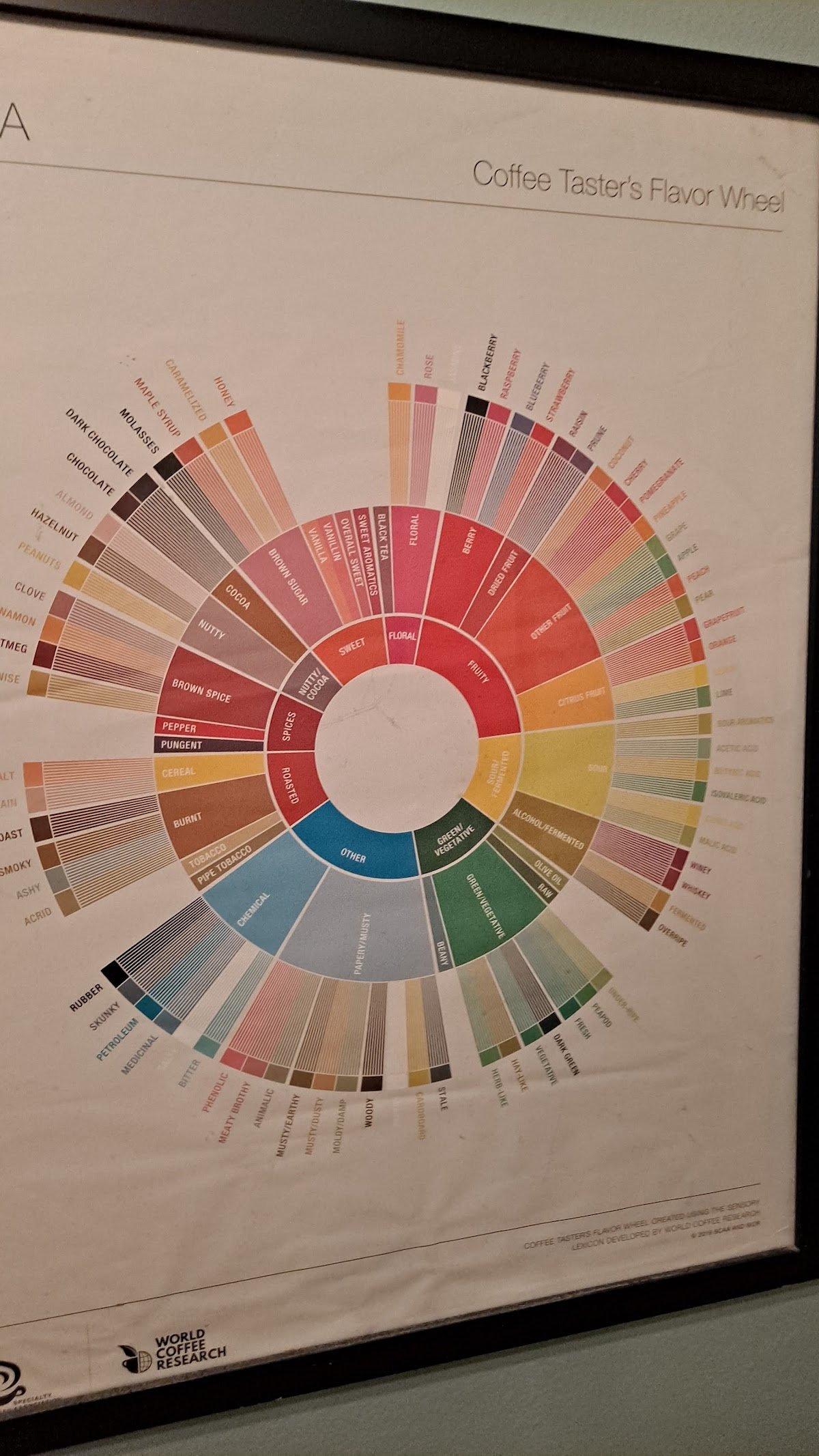 The Conservatory for Coffee, Tea & Cocoa specialty coffee shop in Los Angeles - photo 11